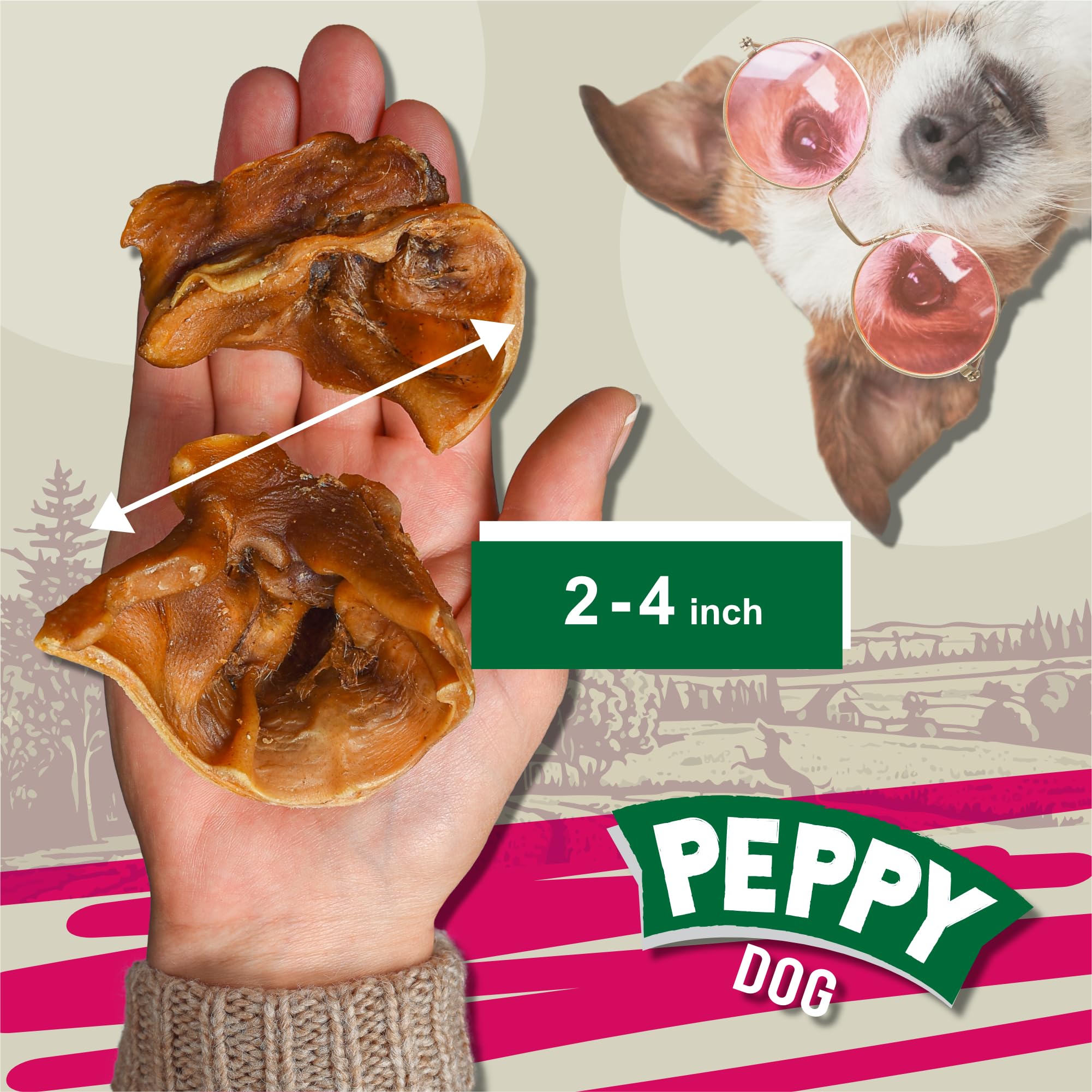 PEPPY DOG pig ear slices protein-packed treats to boost energy during walks.
