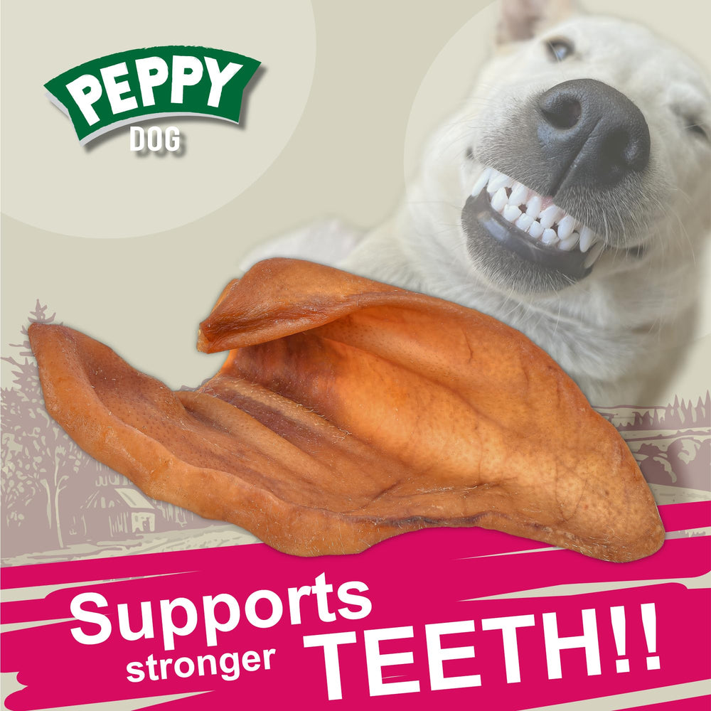 PEPPY DOG rawhide alternative chews as softer, safer digest option.