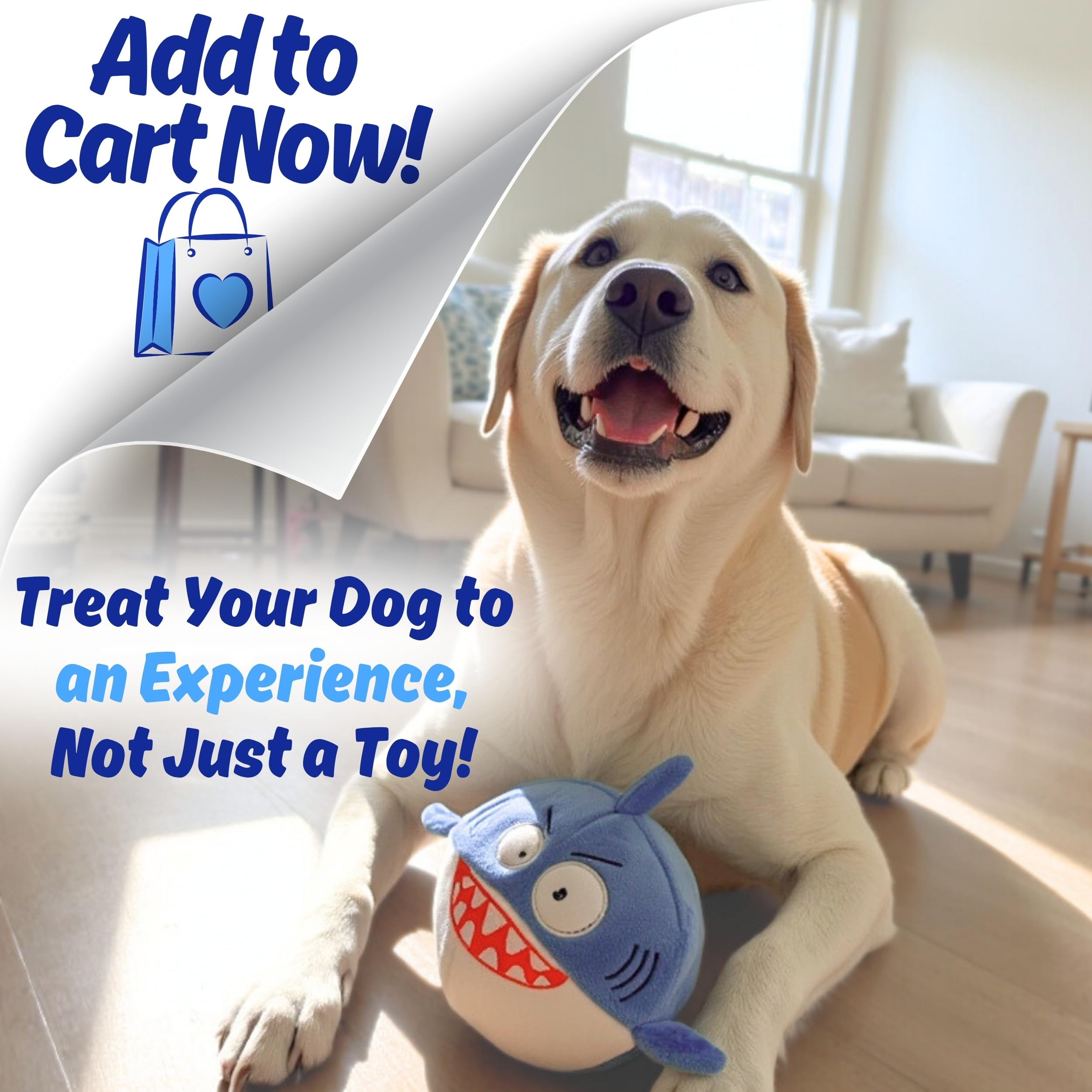 PeppyPawz Sharky gift-ready packaging ideal for holidays