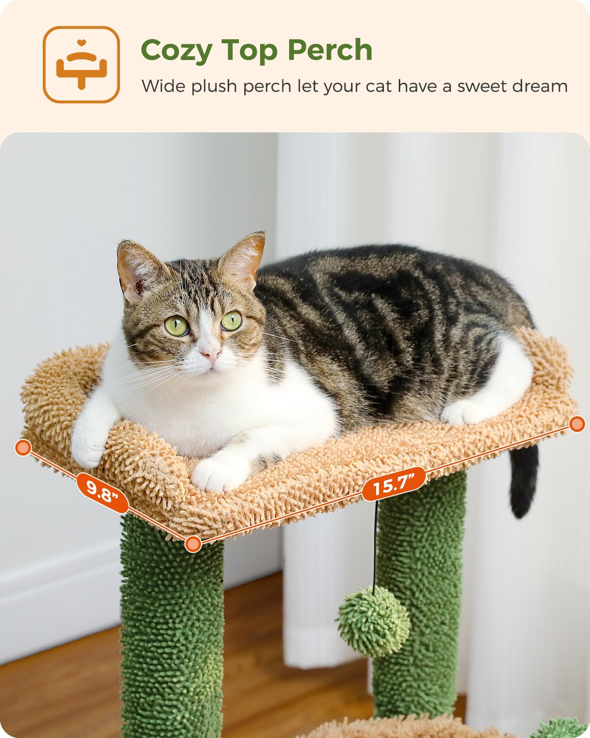 PEQULTI cactus cat tree anti-topple tip enhances stability and safety.
