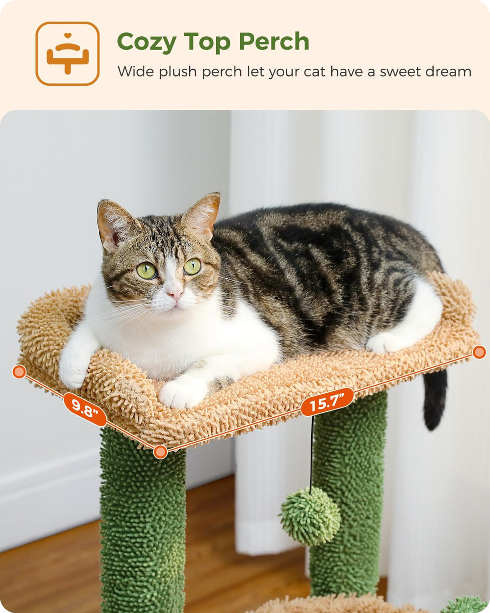 PEQULTI cactus cat tree anti-topple tip enhances stability and safety.