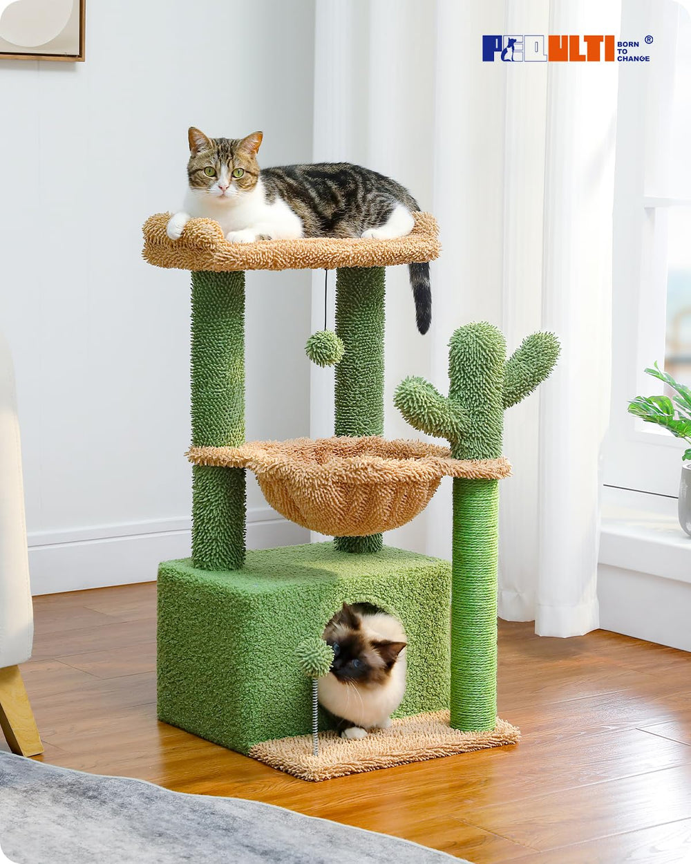 PEQULTI cactus cat tree large condo gives a comfy sleep space for bigger cats.