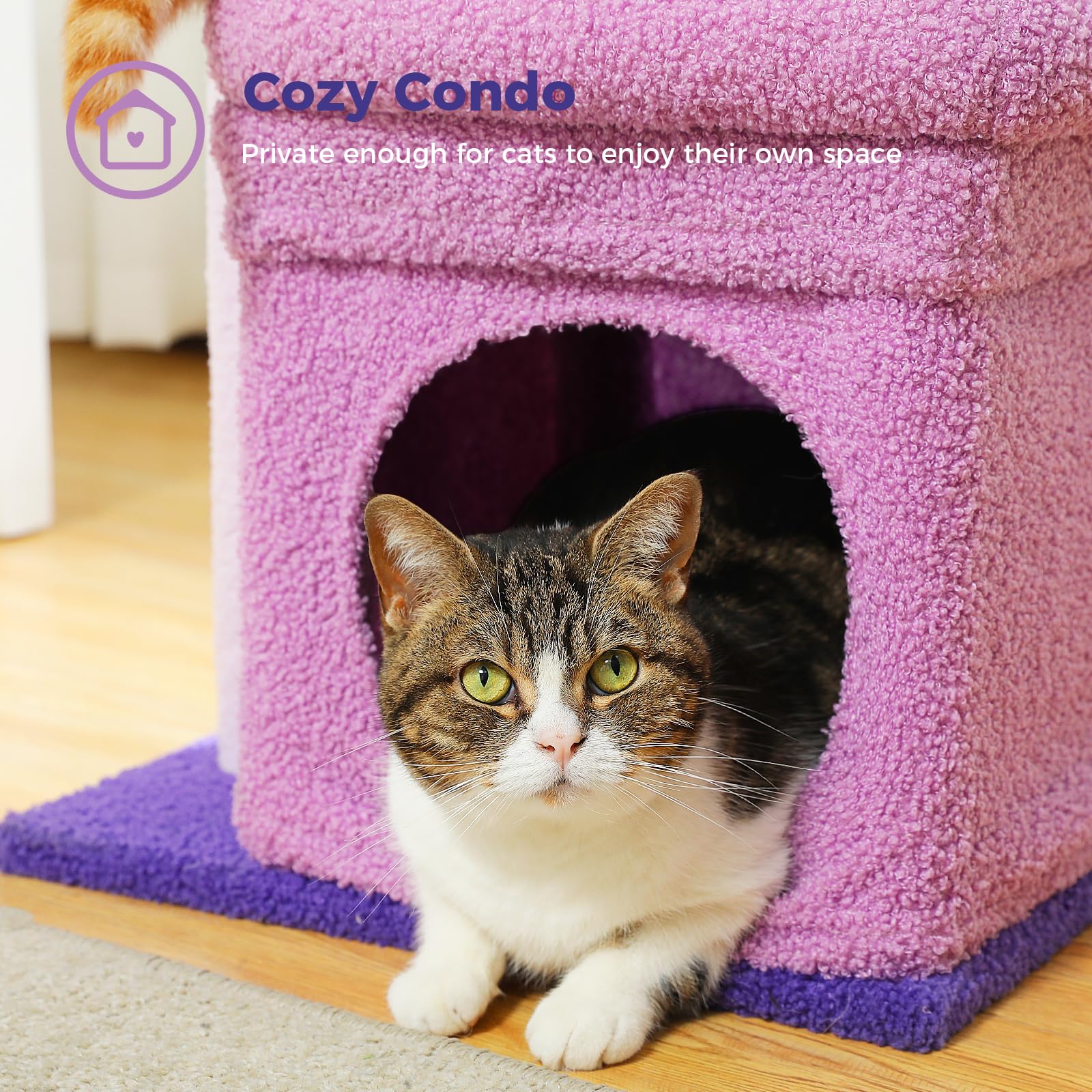 PEQULTI Cat Tree Flower Purple Easy assembly with included tools