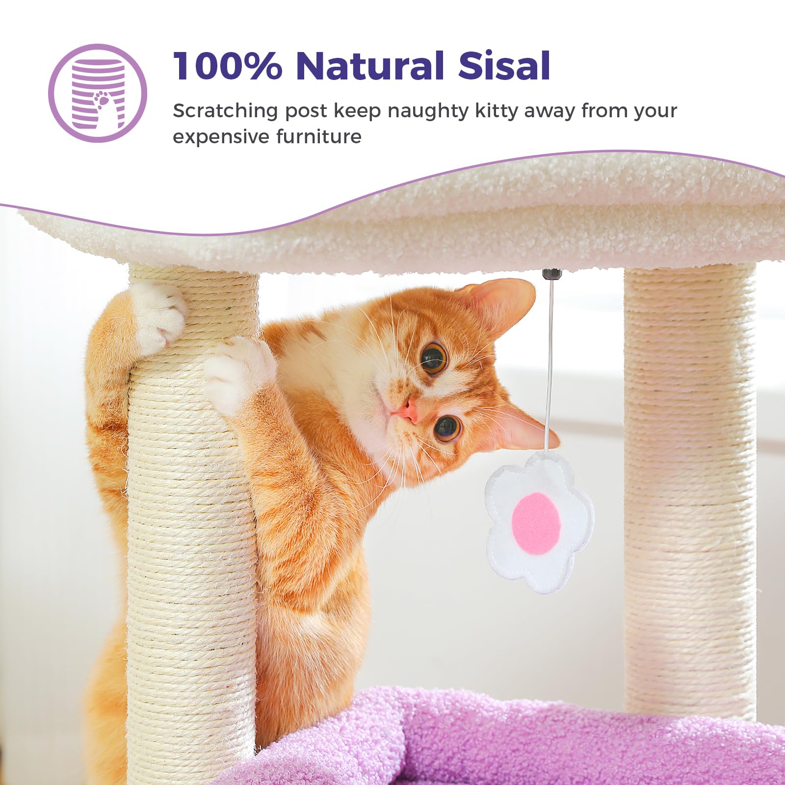 PEQULTI Cat Tree Flower Purple Wide top perch ideal for sunlit lounging