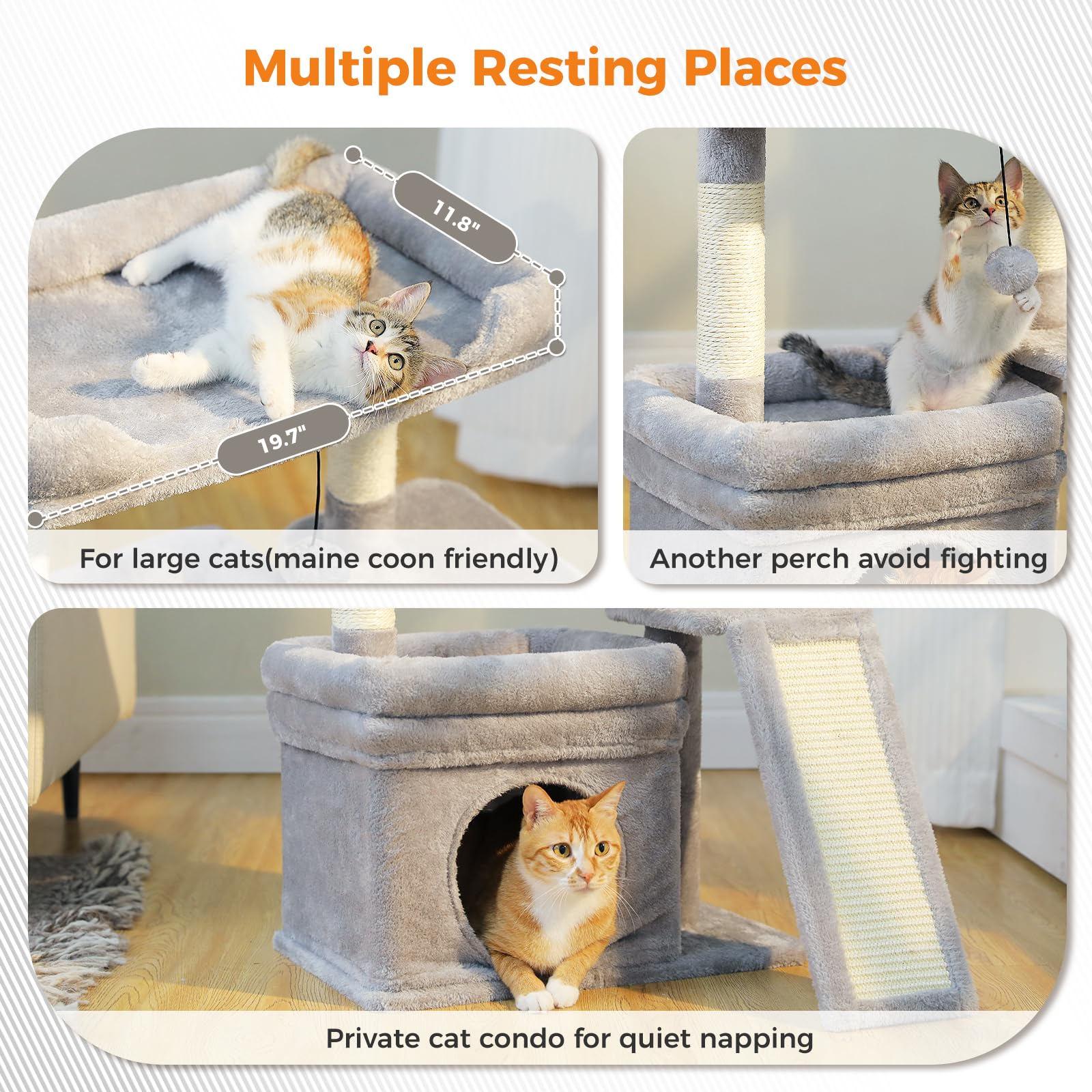 PEQULTI private condo provides a cozy retreat for focused cat downtime.