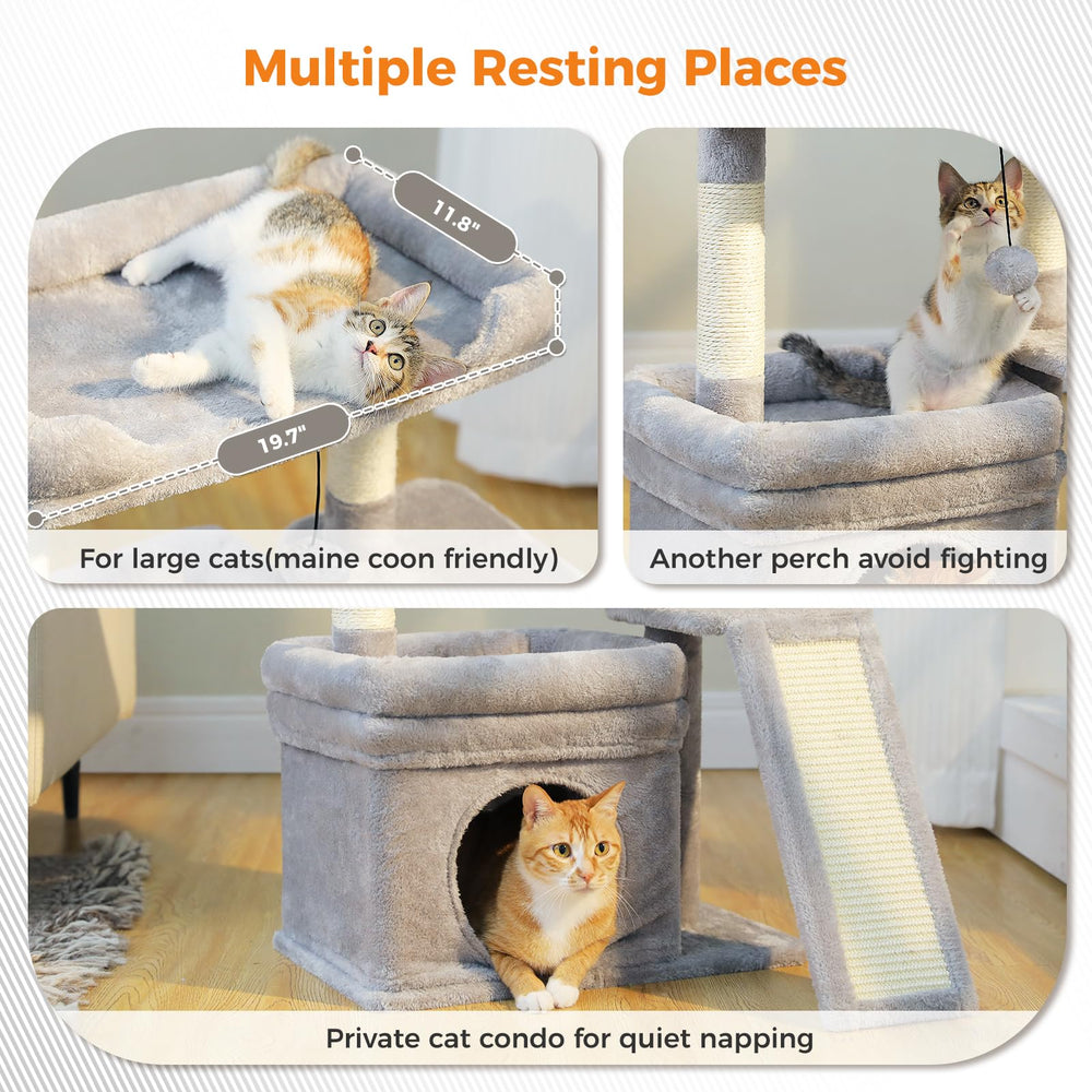 PEQULTI private condo provides a cozy retreat for focused cat downtime.