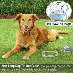 Pestairs dog tie-out stake assembly provides stable anchoring on solid ground.