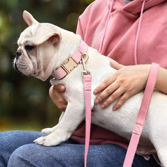 PET ARTIST 5ft leash in pink for long, comfortable strolls.