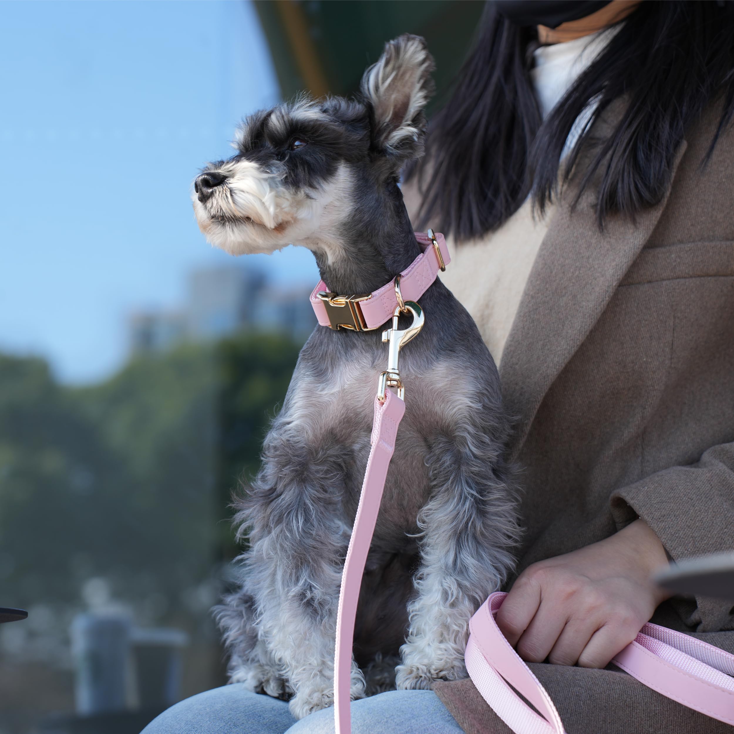 PET ARTIST pink 5ft leash for secure, comfortable strolls.