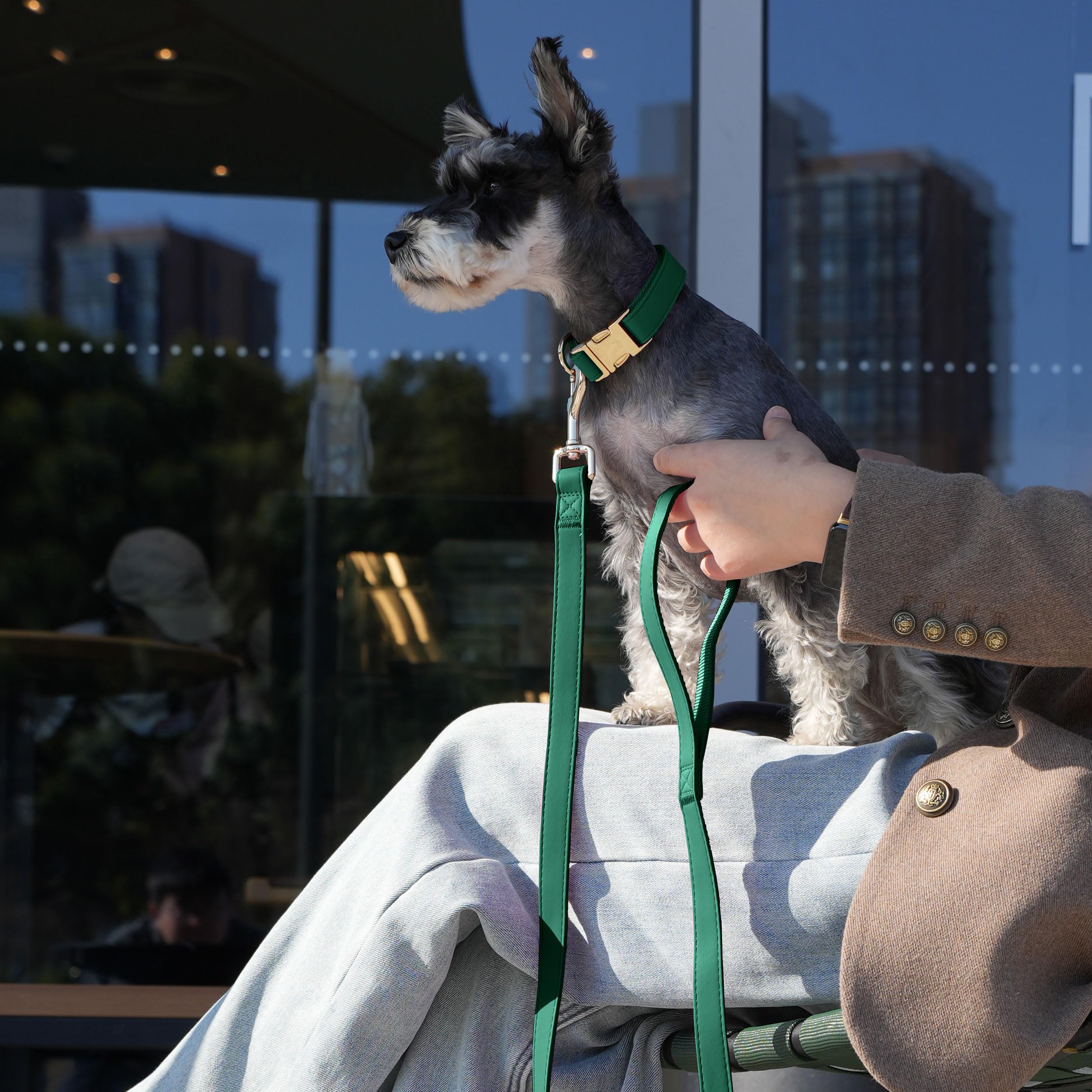 PET ARTIST 5ft PU leather leash enables secure control during walks.