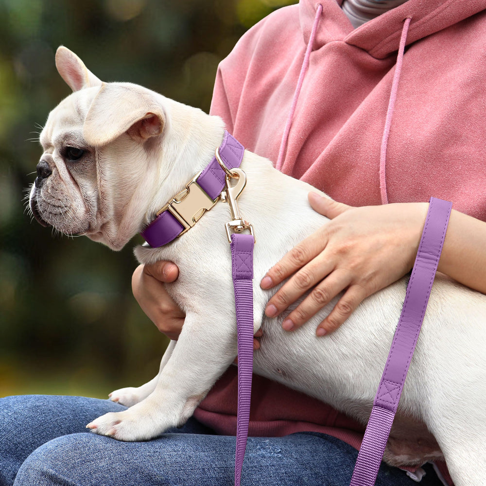 PET ARTIST 5ft PU leash in purple for large dogs during walks