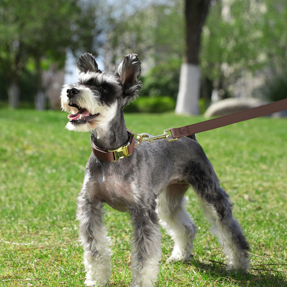 PET ARTIST 5ft PU leather dog leash brown shows durable leash for daily walks.