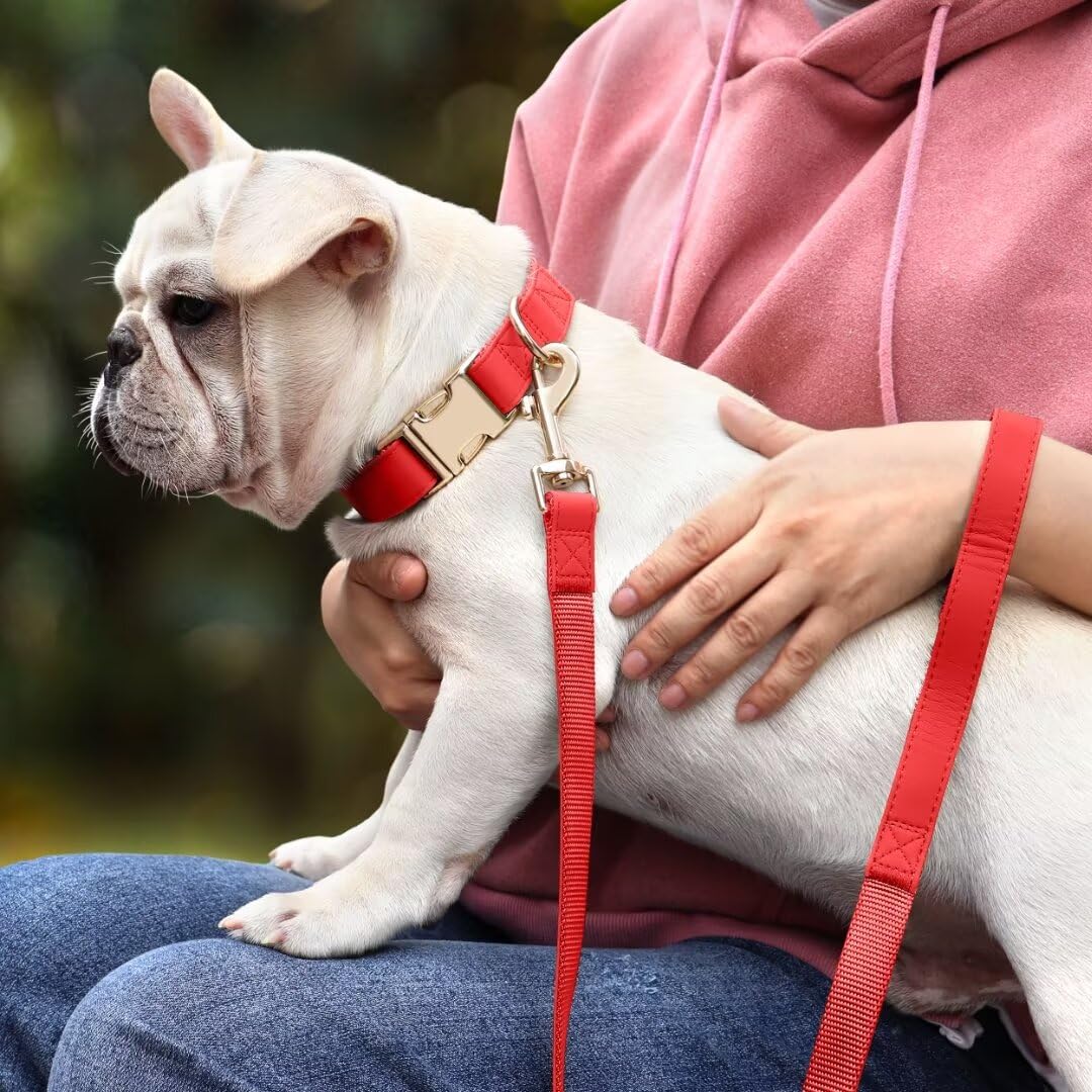 PET ARTIST 5ft PU leather leash in red for easy control during walks.
