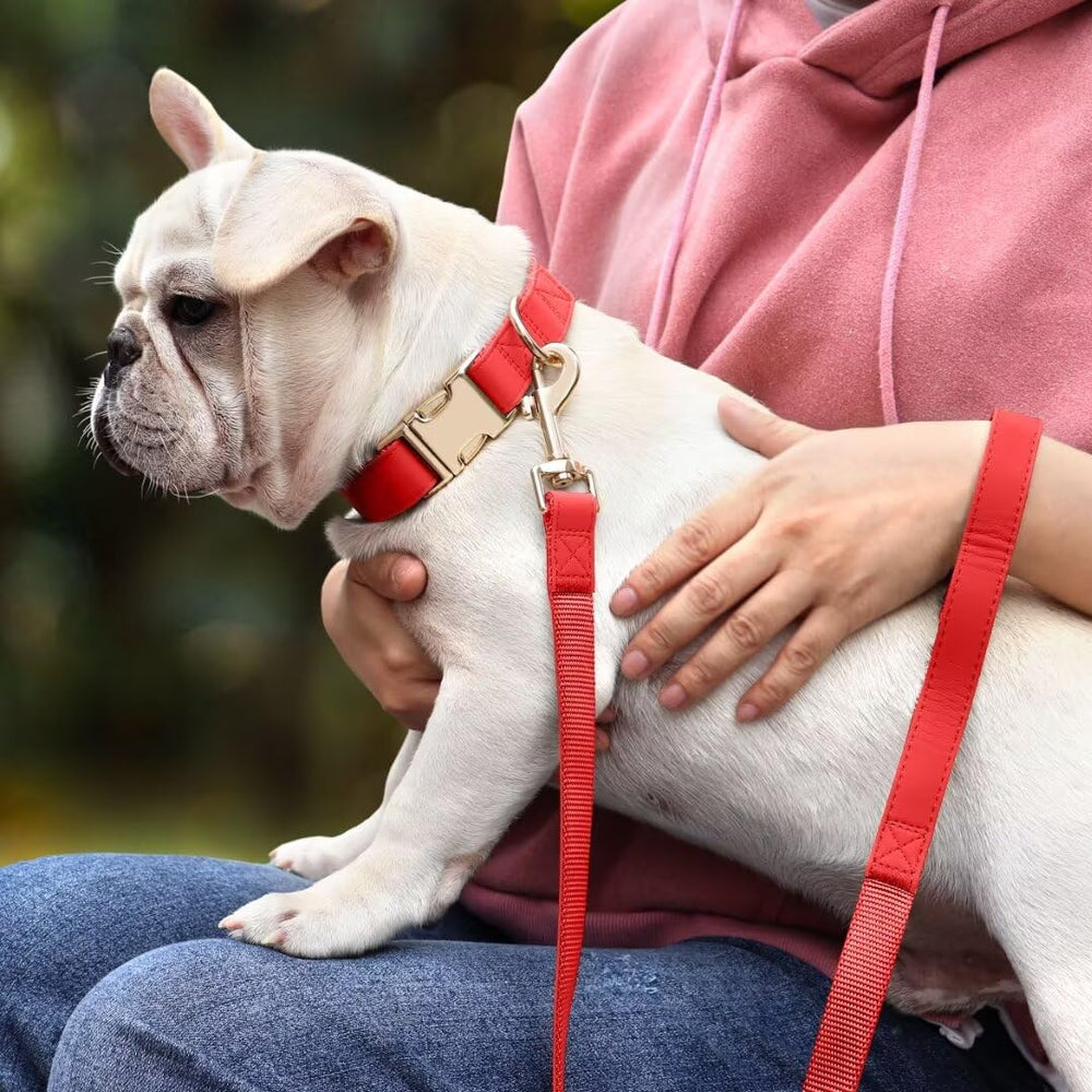 PET ARTIST 5ft PU leather leash in red for easy control during walks.