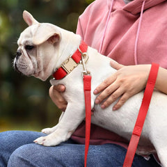 PET ARTIST 5ft PU leather leash in red for easy control during walks.