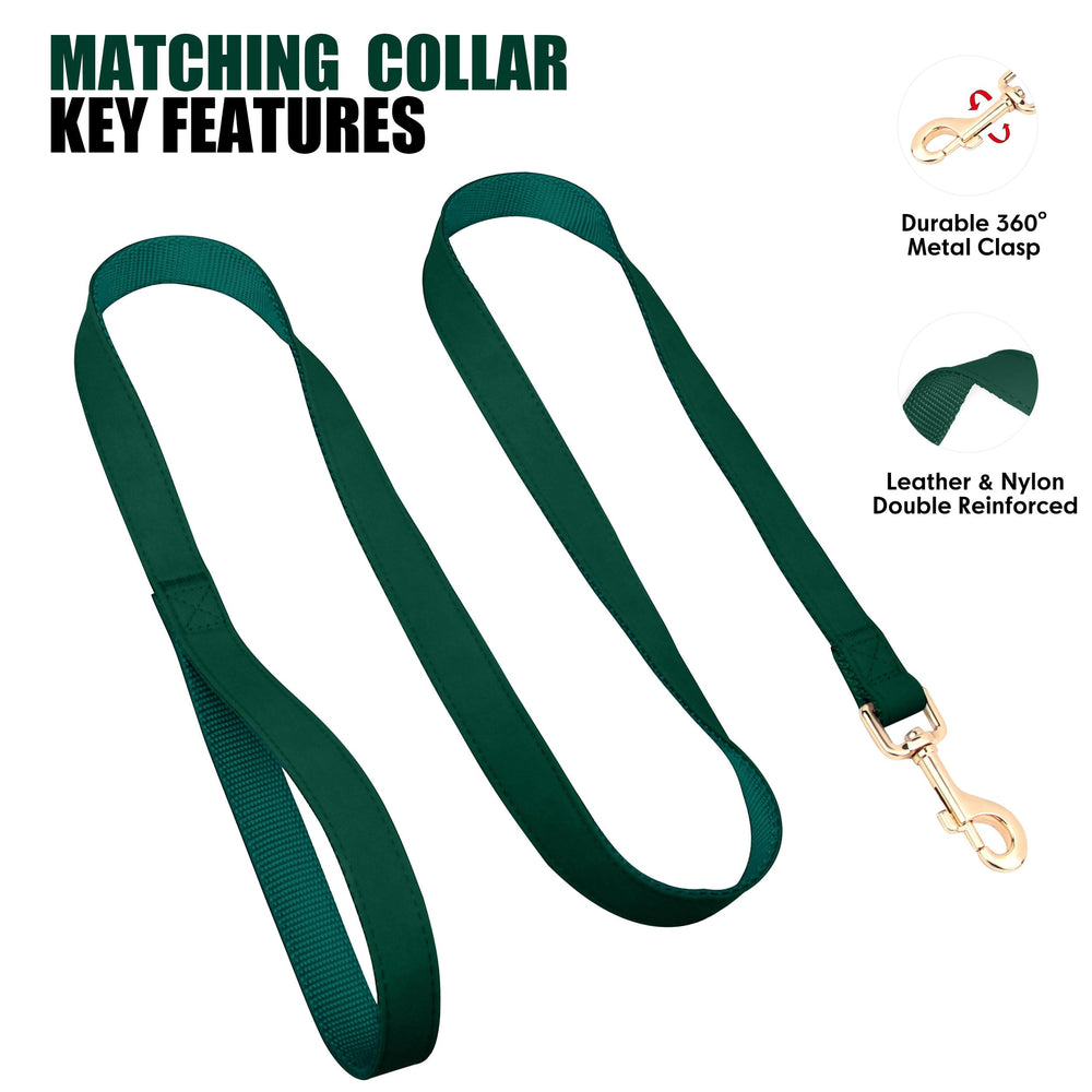 PET ARTIST adjustable collar fits 13-19 inches for medium dogs.