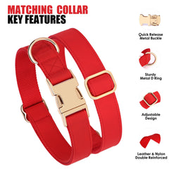 PET ARTIST adjustable neck 13-19 inch collar ensures versatile fit.