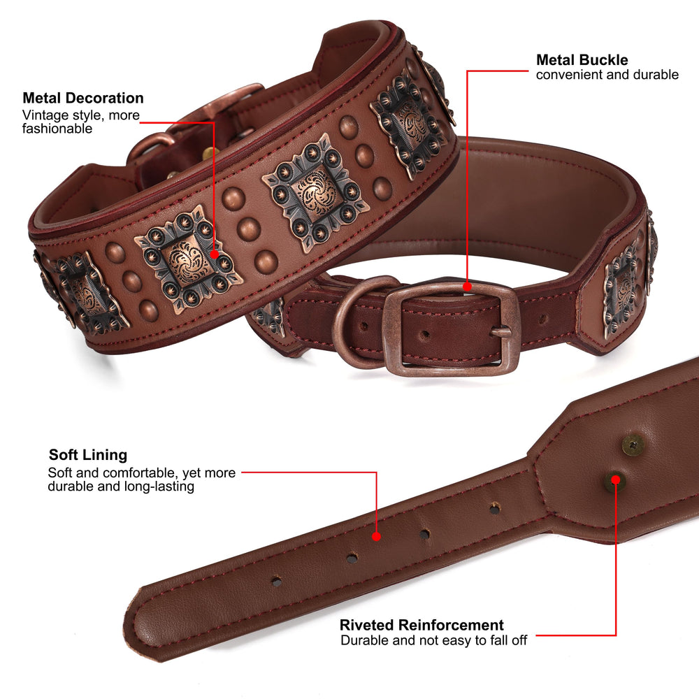 PET ARTIST adventure-ready set pairs collar with retro-style leash for coordinated looks