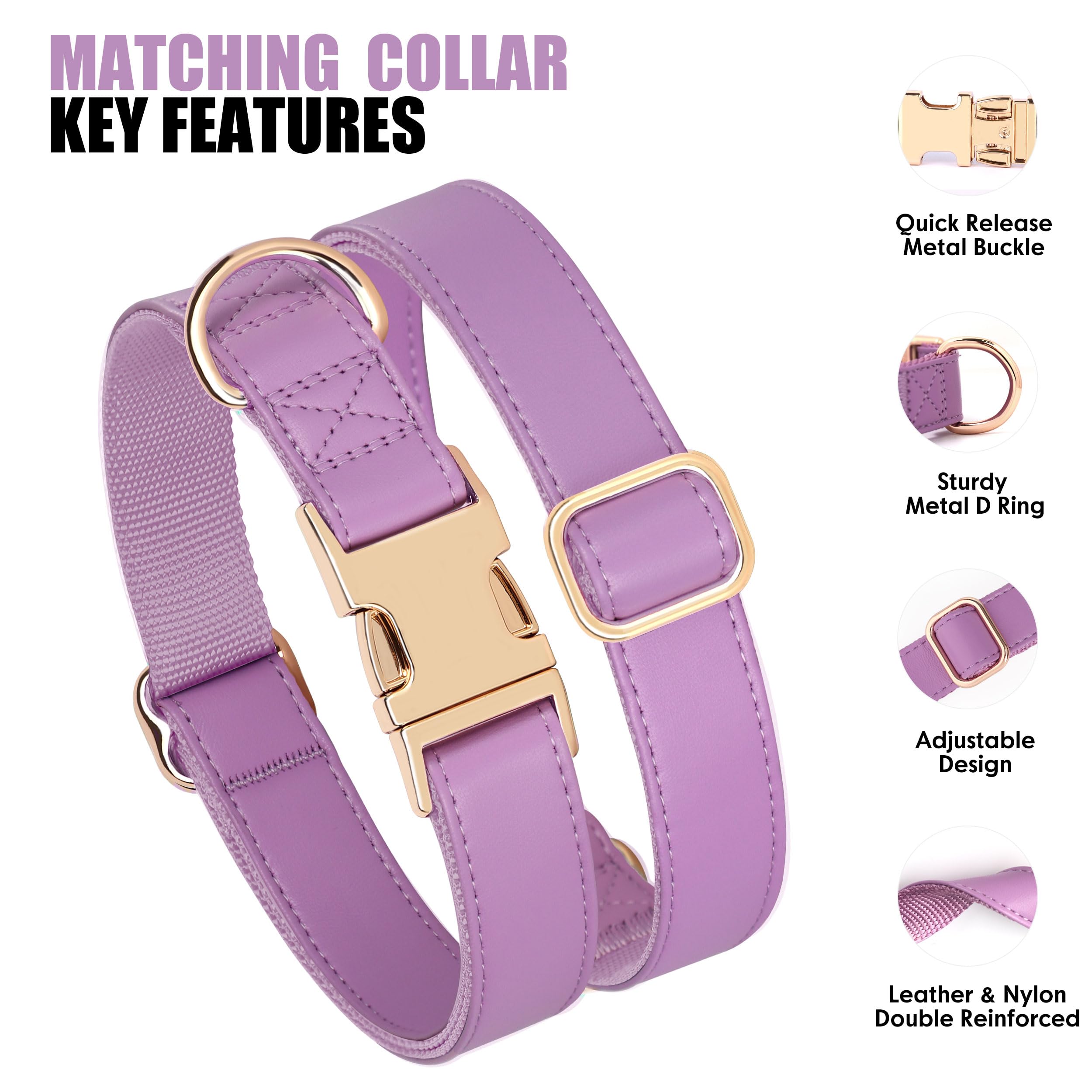 PET ARTIST alloy quick-release buckle closeup on collar
