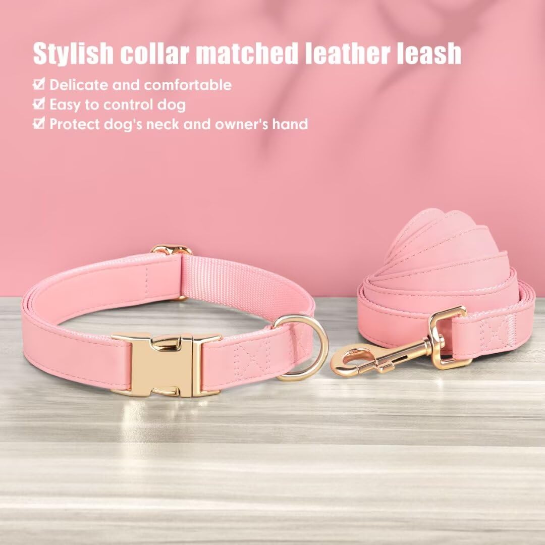 PET ARTIST alloy quick-release buckle—durable and easy to remove.