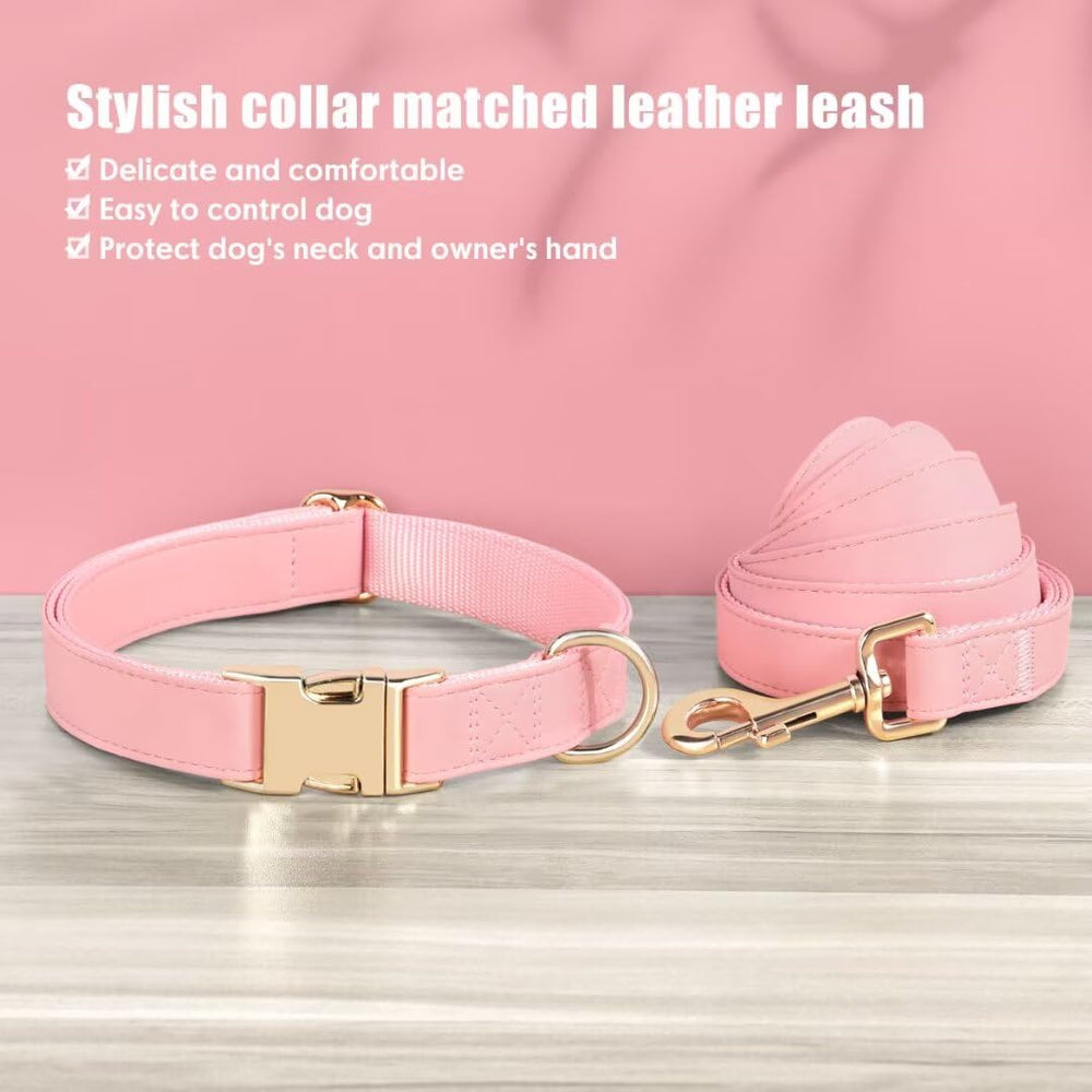 PET ARTIST alloy quick-release buckle—durable and easy to remove.