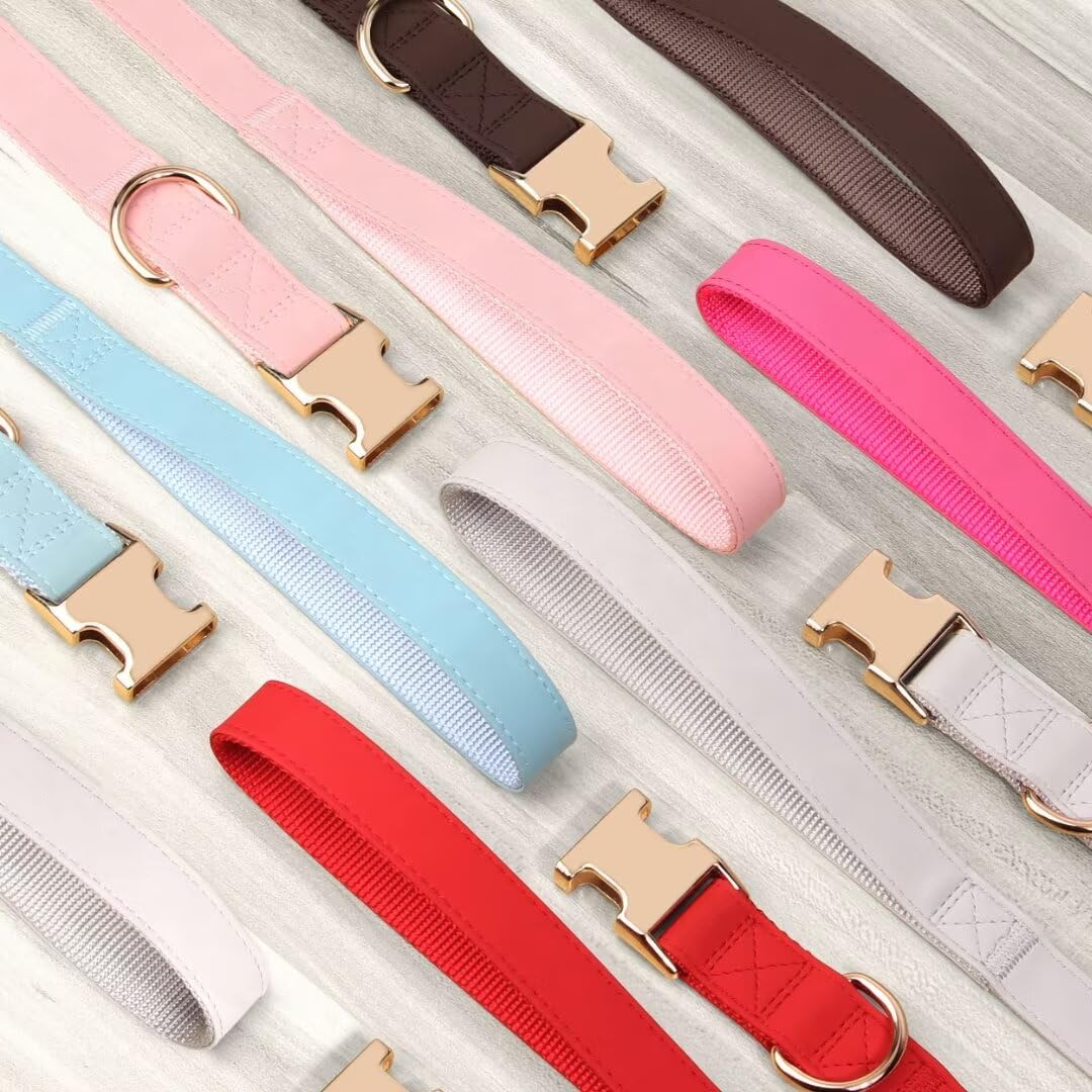 PET ARTIST bright color collar options for everyday outings.