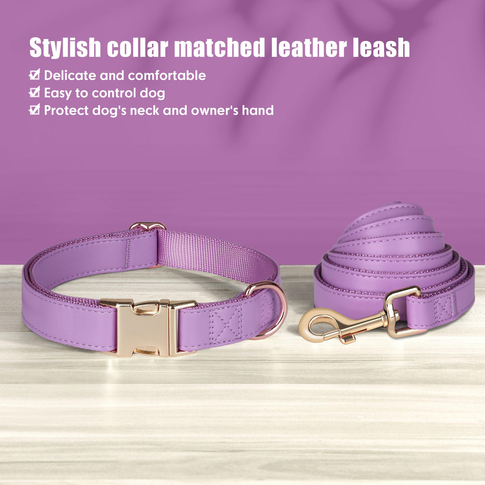 PET ARTIST bright color options image highlighting list of color choices