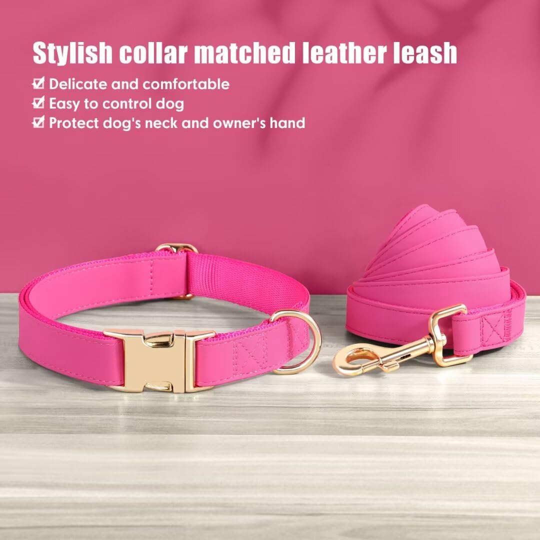 PET ARTIST Collar and Leash Set during a park stroll highlights coordinated style.