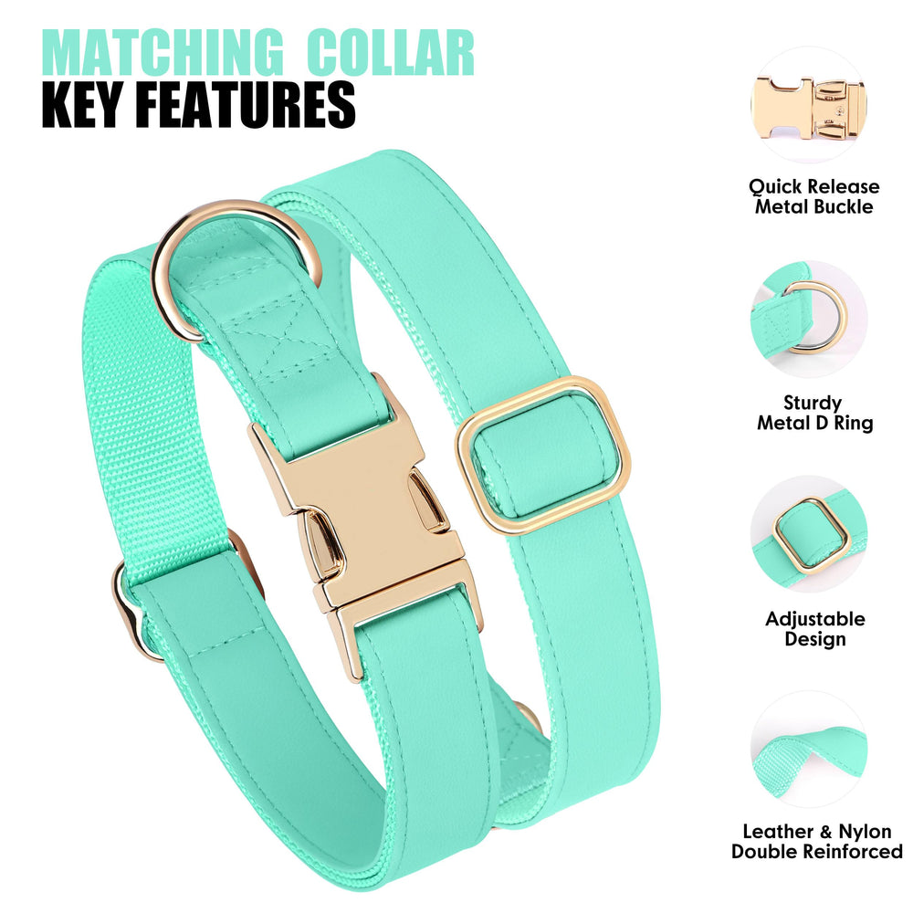 PET ARTIST collar-d-ring close-up shows fine stitching for lasting hardware stability