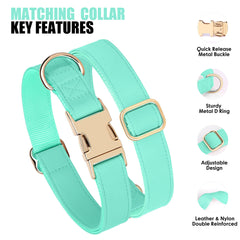 PET ARTIST collar-d-ring close-up shows fine stitching for lasting hardware stability