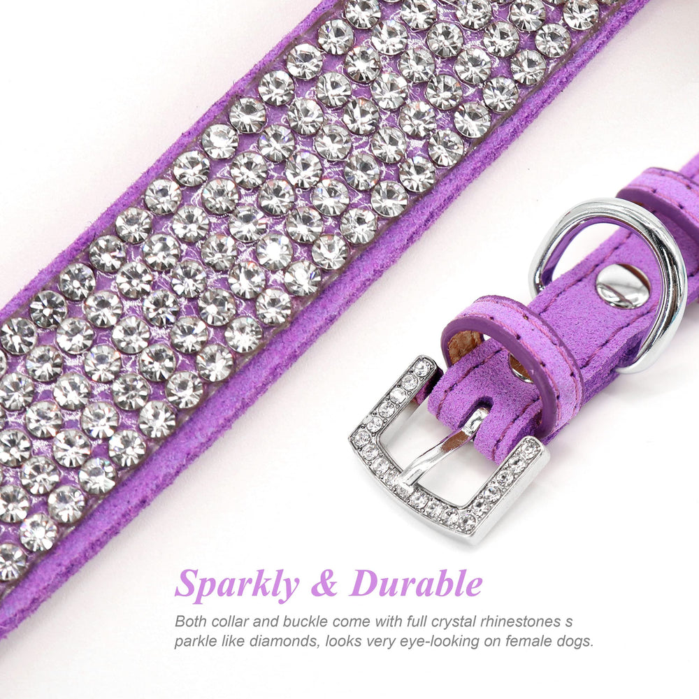 PET ARTIST collar morado de cuero ante, cómodo para uso diario