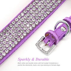 PET ARTIST collar morado de cuero ante, cómodo para uso diario