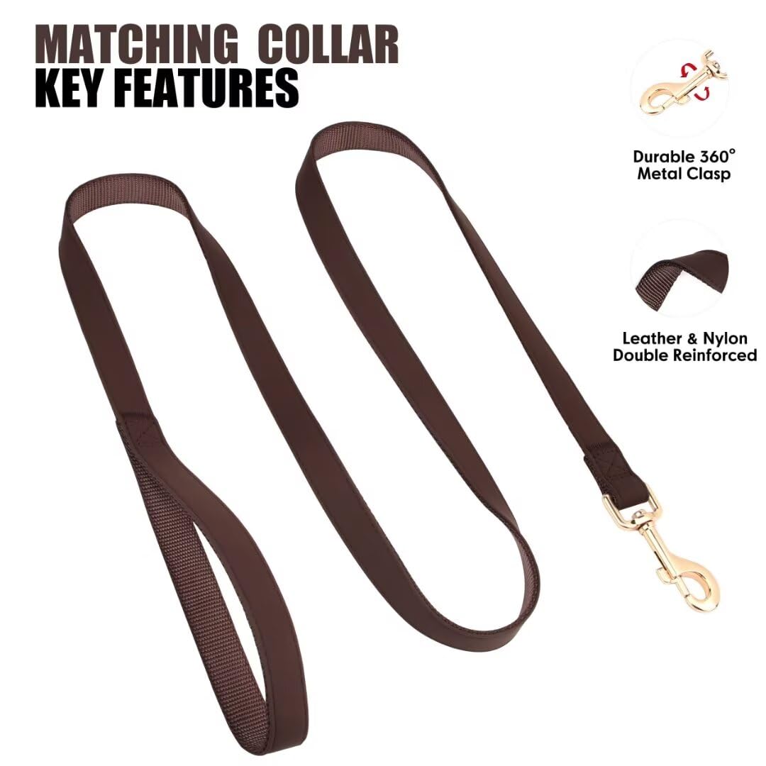 PET ARTIST durable D-ring with refined stitching for reliable leash attachment
