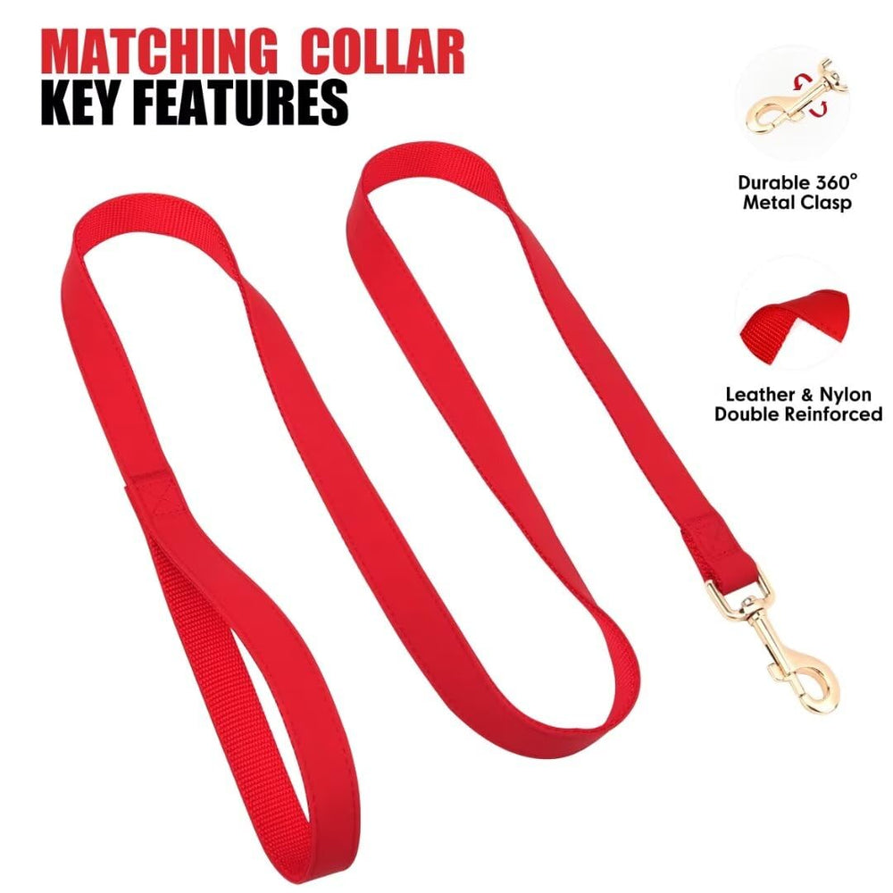 PET ARTIST reinforced stitching at the D-ring boosts collar stability.