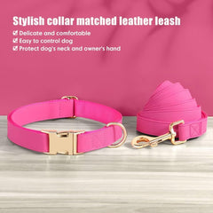PET ARTIST durable alloy buckle for quick release during adventures.