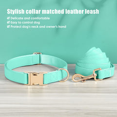 PET ARTIST durable alloy buckle detail highlighting quick-release convenience during park outings