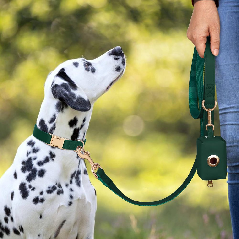 PET ARTIST durable PU leather with multi-stitching for stable D-ring