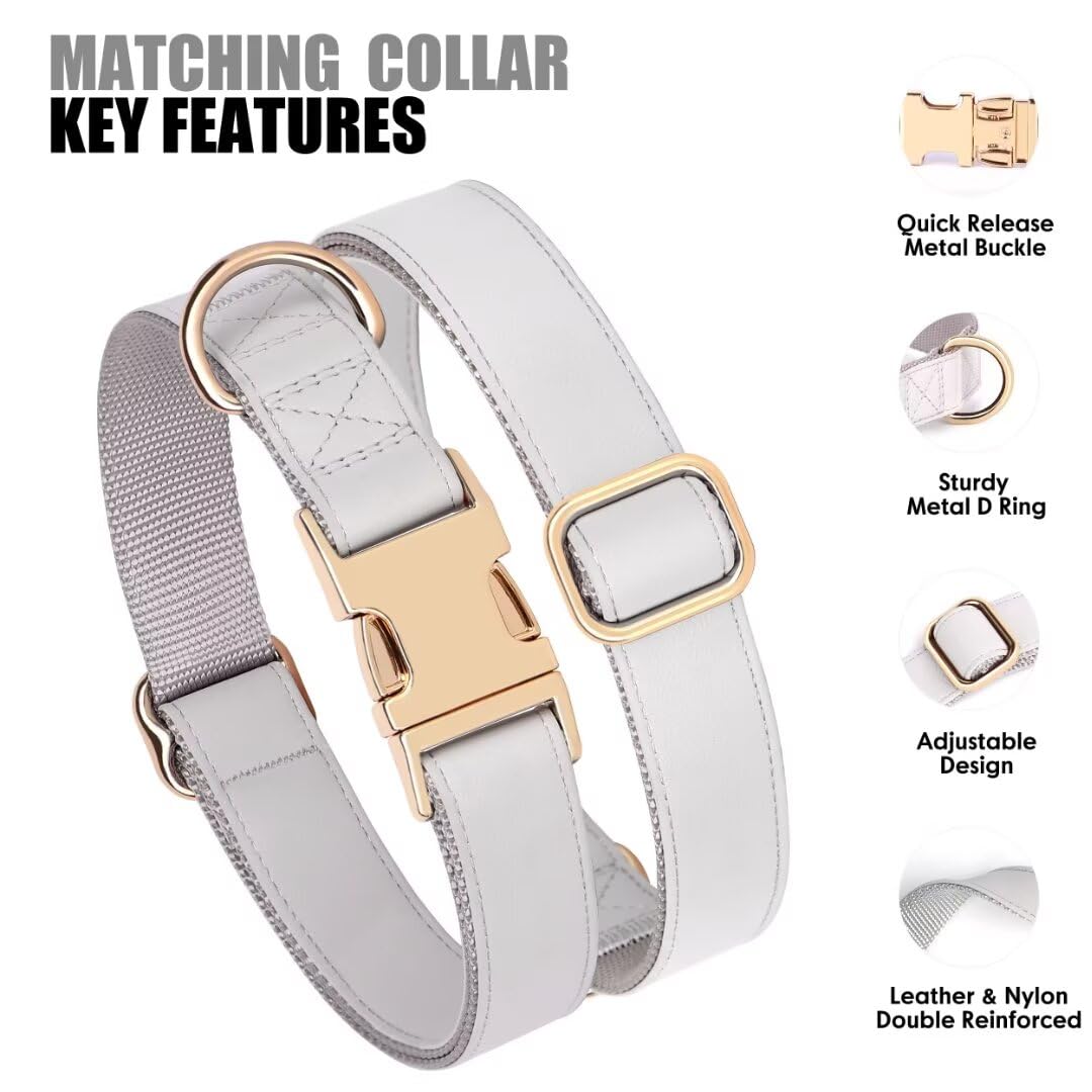 PET ARTIST collar features durable stitching and sturdy D-ring for secure use.