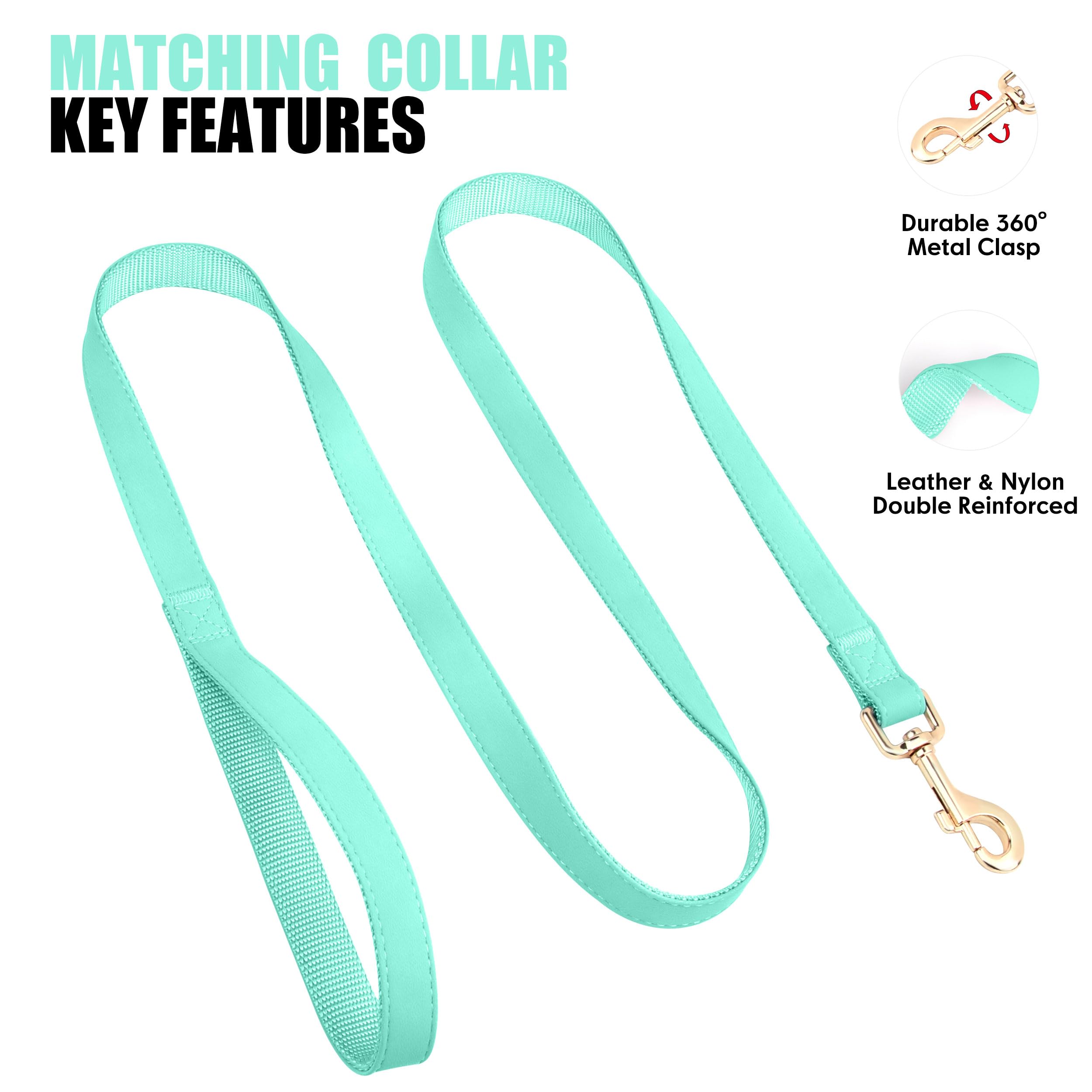 PET ARTIST mint green collar stitching around the D-ring for durability