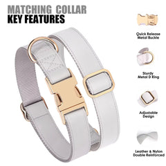 PET ARTIST collar features durable stitching and sturdy D-ring for secure use.