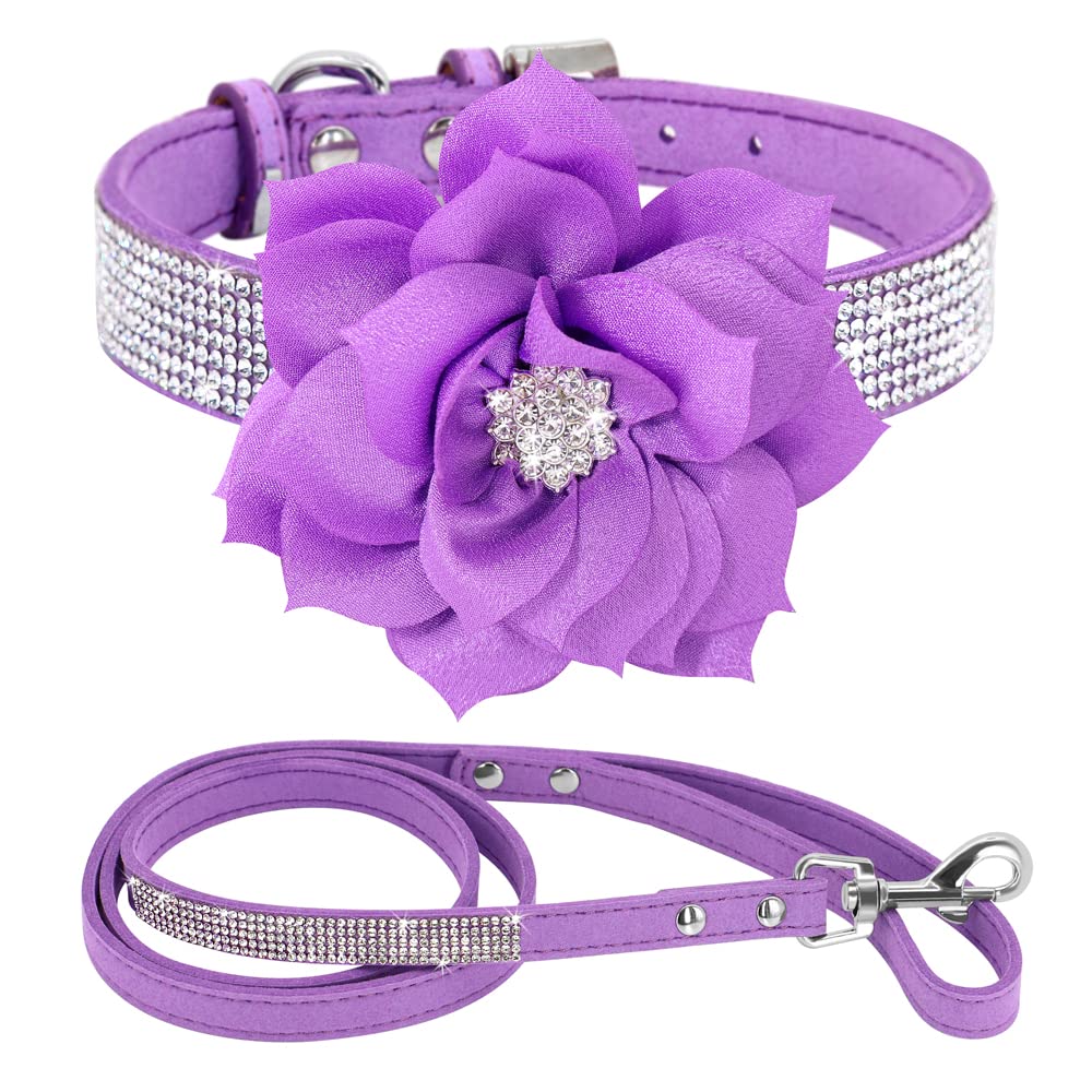 PET ARTIST collar en evento, ideal para fiestas o bodas