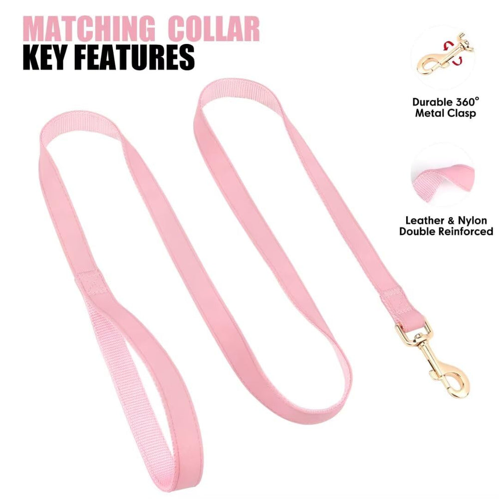 PET ARTIST fully adjustable neck fits 13-19 inches securely.