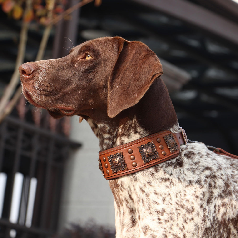 PET ARTIST durable buckle and rivets resist rust during play