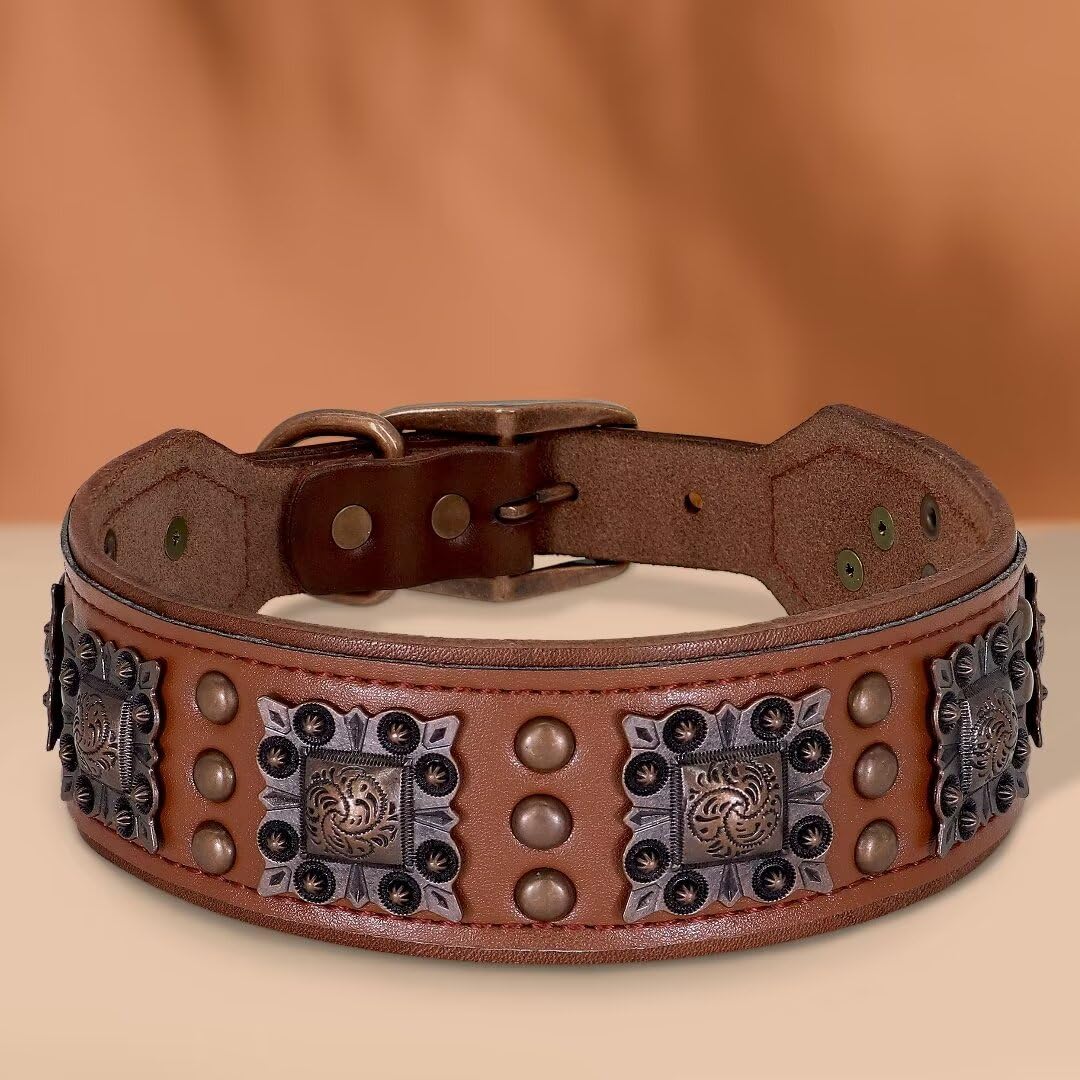 PET ARTIST soft padded interior for comfortable daily wear