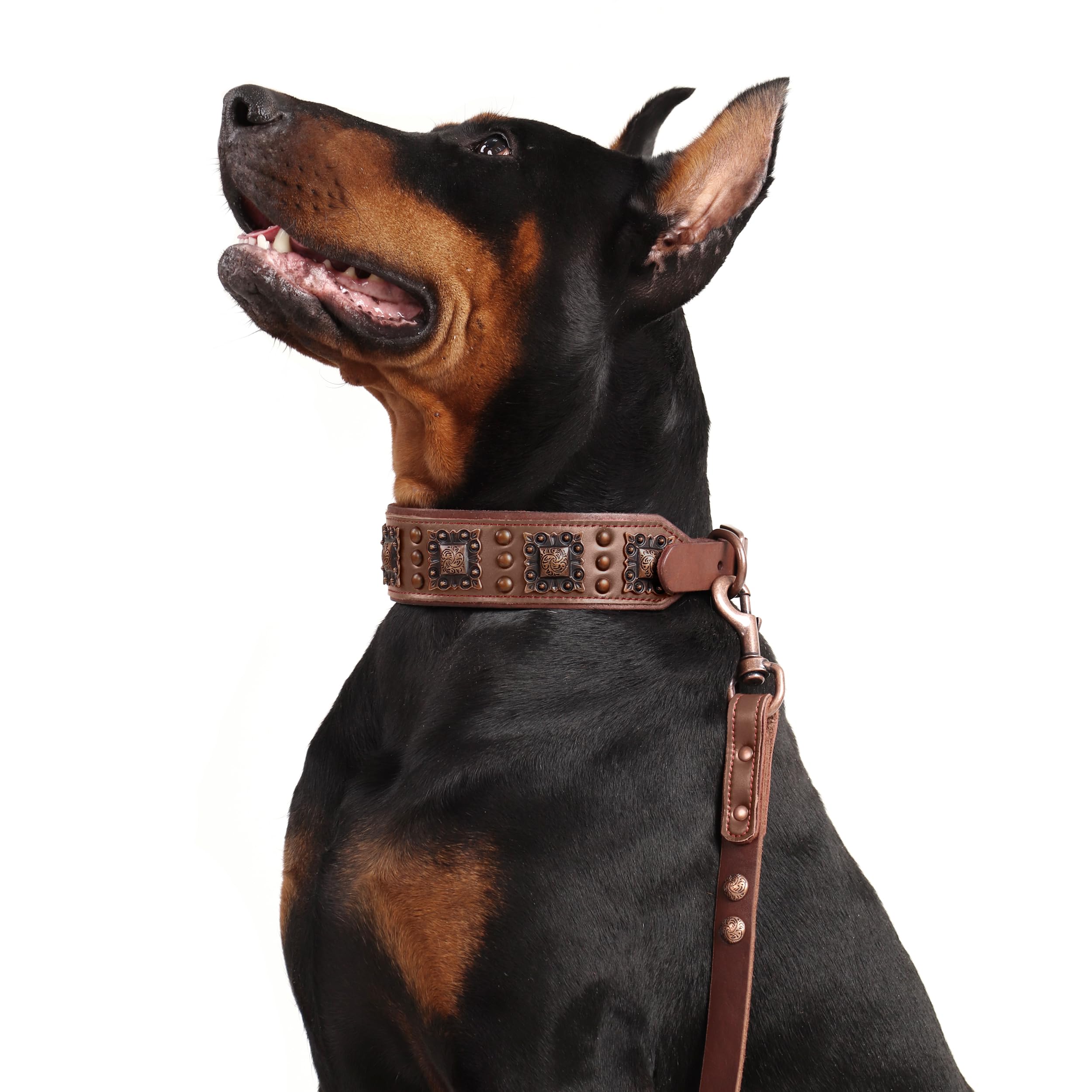 PET ARTIST handcrafted stitching and rivets highlight superior craftsmanship