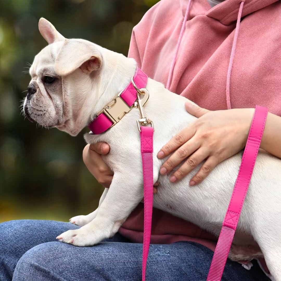 PET ARTIST 5ft leash in PU leather for secure, stylish walks.