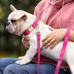 PET ARTIST 5ft leash in PU leather for secure, stylish walks.