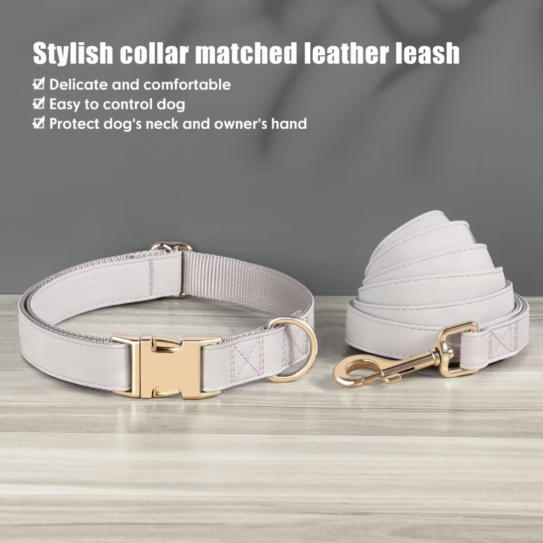PET ARTIST matching collar and leash in gray, stylish set for daily strolls.