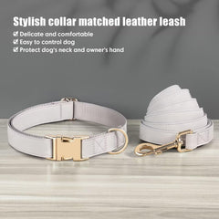 PET ARTIST matching collar and leash in gray, stylish set for daily strolls.