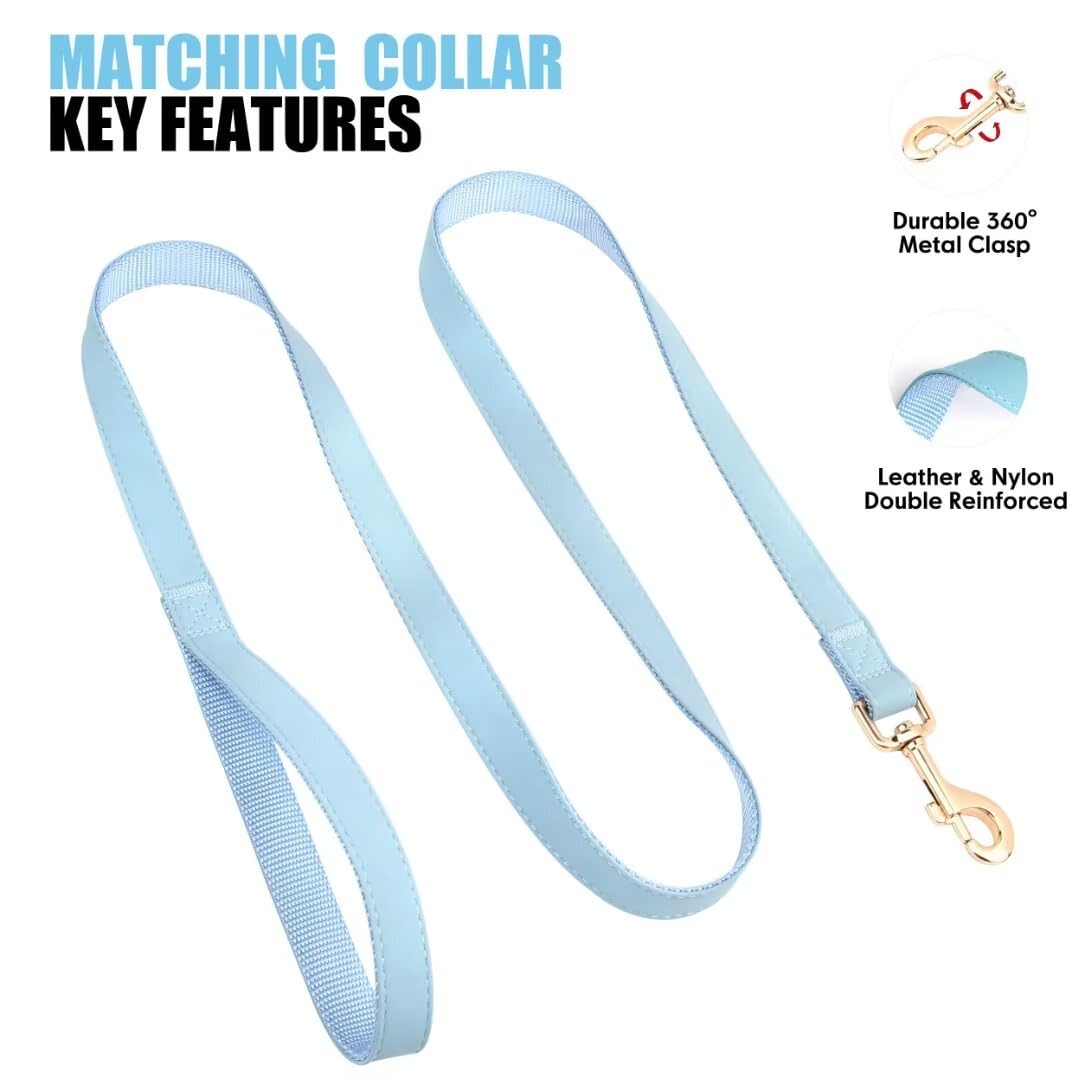PET ARTIST matching blue collar and leash set shows coordinated style